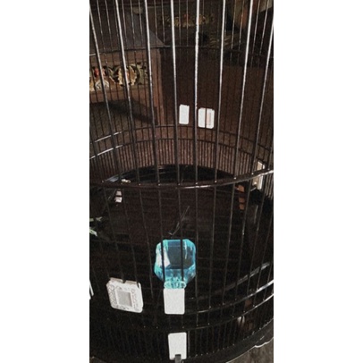 CEPUK SEGI DELAPAN 8 MIKA CANGKIR GELAS WADAH TEMPAT PAKAN MAKAN MINUM BURUNG LOVEBIRD LOVE BIRD