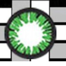 

SOFTLENS SOFLENS GEL MAGIC GREEN 14.8MM minus 0.5 sampai 6