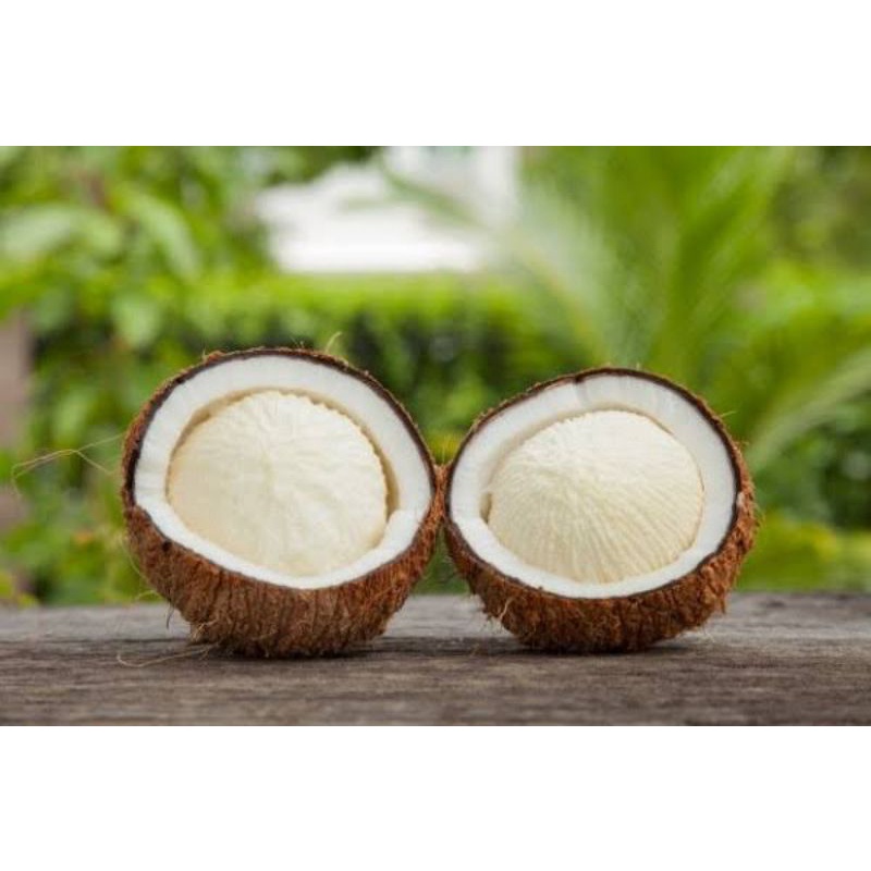 

Kentos Cangkangan/1kg