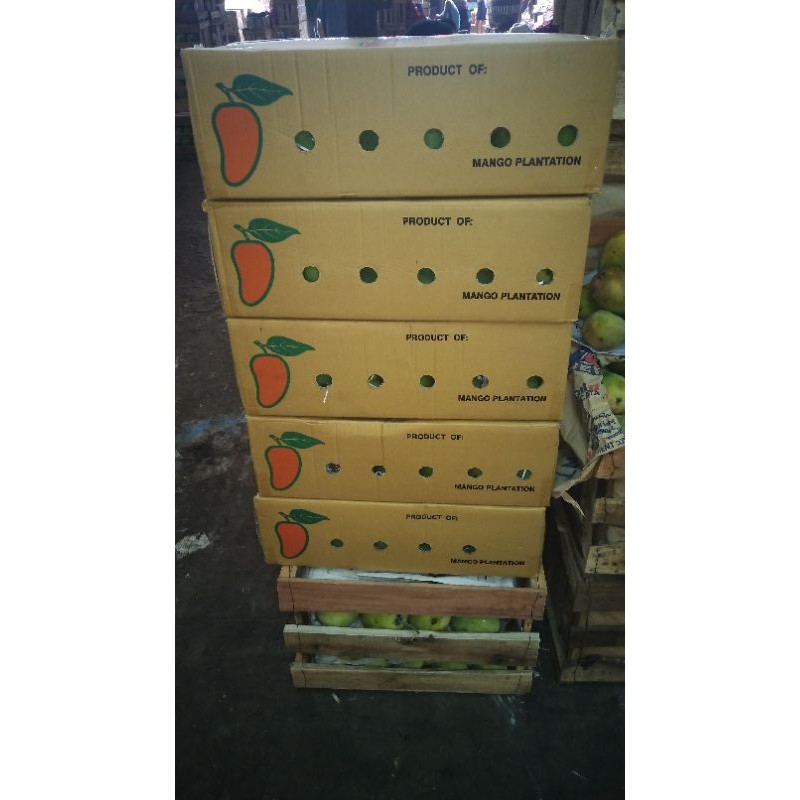 

Mangga harumanis matang pohon