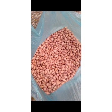 

Kacang tanah grade super 1kg