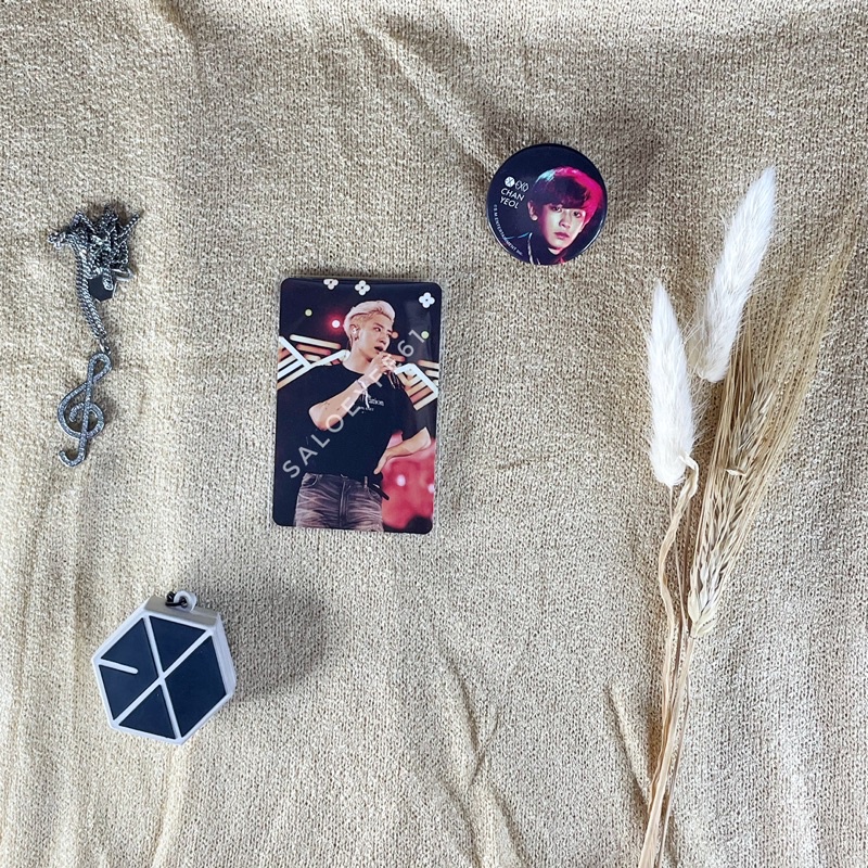 EXO CHANYEOL OFFICIAL EXPLORATION DVD PHOTOCARD (PC)