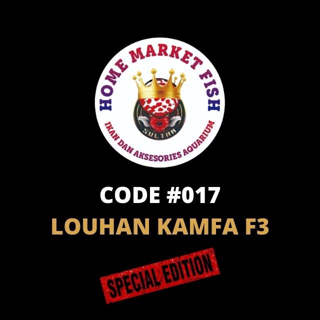 LOUHAN KAMFA F3 #017 REAL VIDEO ikan louhan kamfa f3 video nyata louhan kamfa SPESIAL LOUHAN