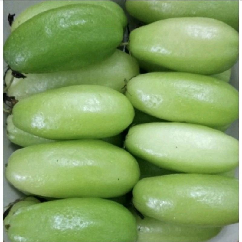 

blimbing wuluh segar 250gr belimbing wuluh