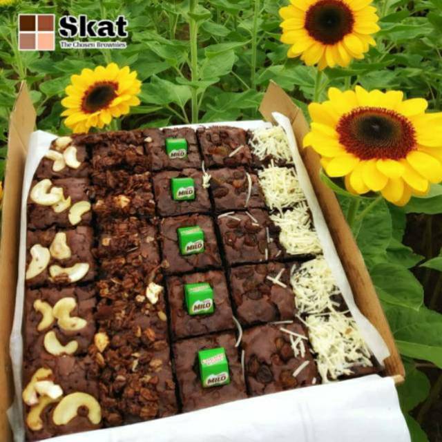 SKAT BROWNIES ASLI BANDUNG