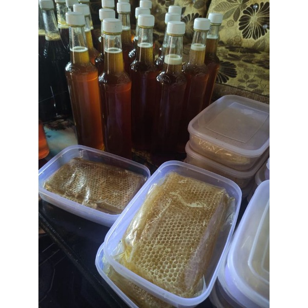 

madu hutan asli sumatra