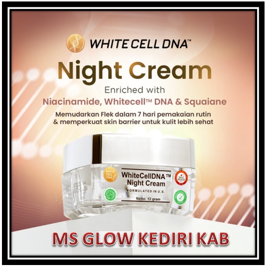 CREAM DNA CELL MSGLOW / WHITE CELL DNA CREAM / WHITE CELL DNA NIGHT CREAM MS GLOW / MSGLOW DNA CELL 
