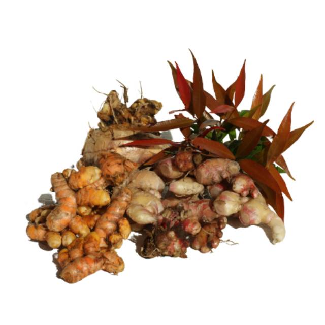 

PAKET HEMAT REMPAH 1KG