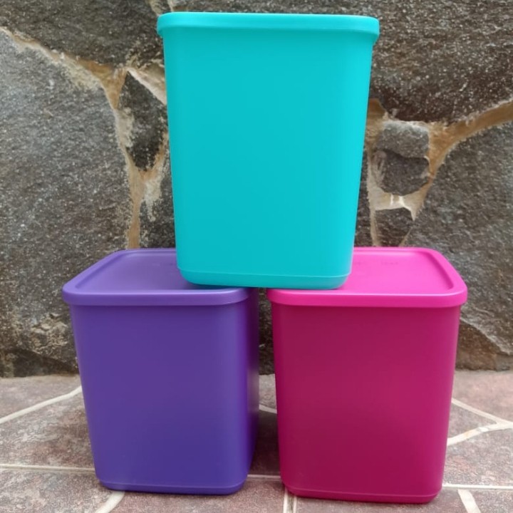 Large Tropical Fiesta (3) Summer Fun Toples Kotak Penyimpanan