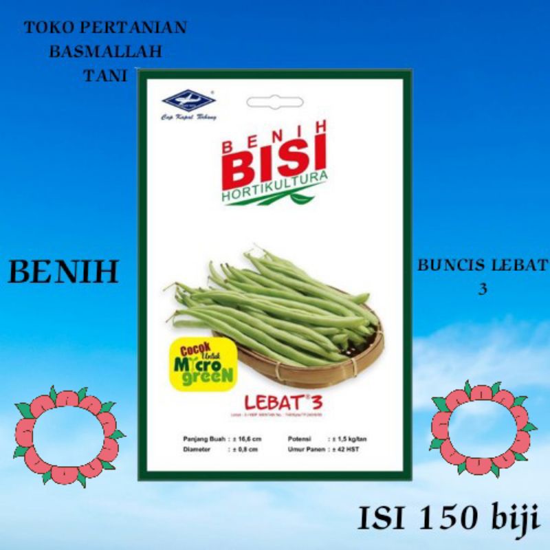 BENIH BUNCIS LEBAT BISI ISI 150 BIJI