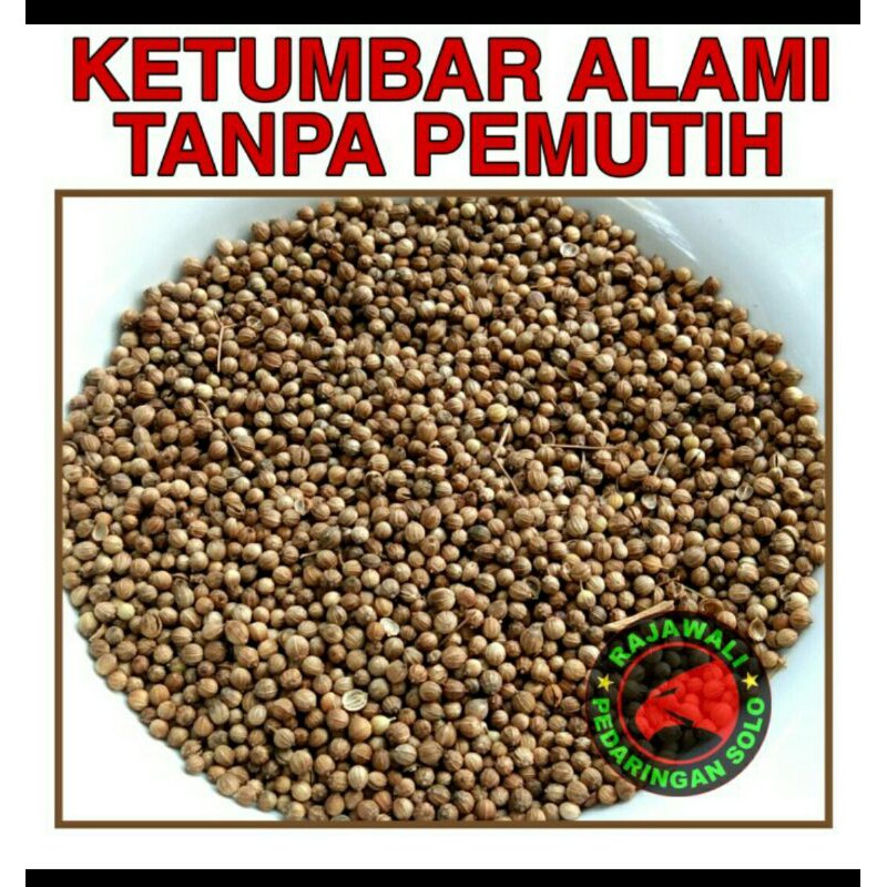 

KETUMBAR TANPA PEMUTIH TUMBAR TANPA PEMUTIH