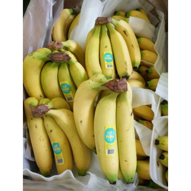 

PISANG CAVENDIS SUPER MANIS PER 1 KG