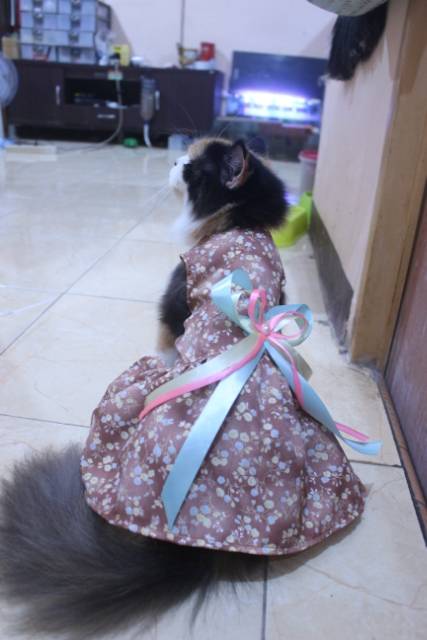 Dress coklat motif bunga-bunga lucu untuk kucing dan anjing / baju kucing murah size S-XL