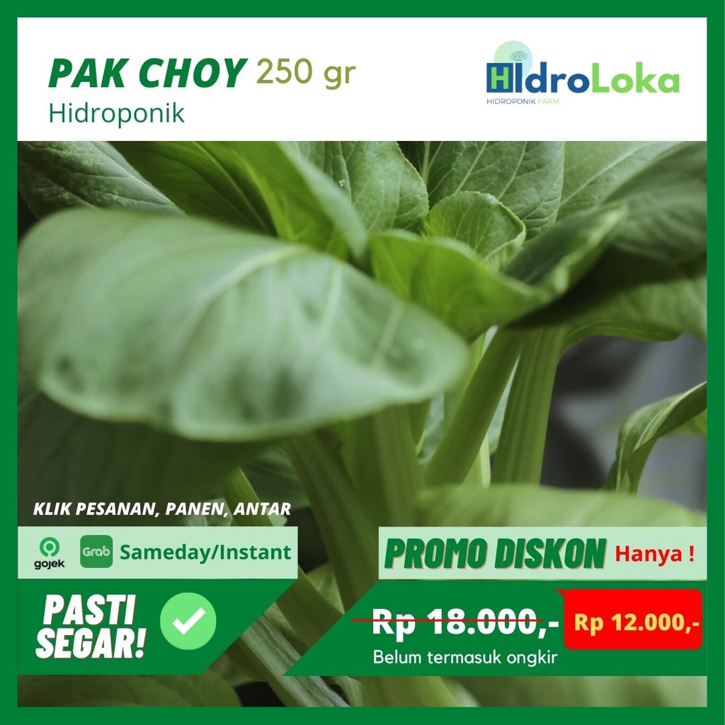 

Pak Choy Hidroponik 250gr