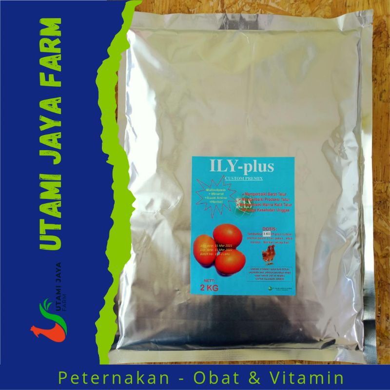 ILY-Plus