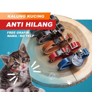 Anggora Perlengkapan Kucing