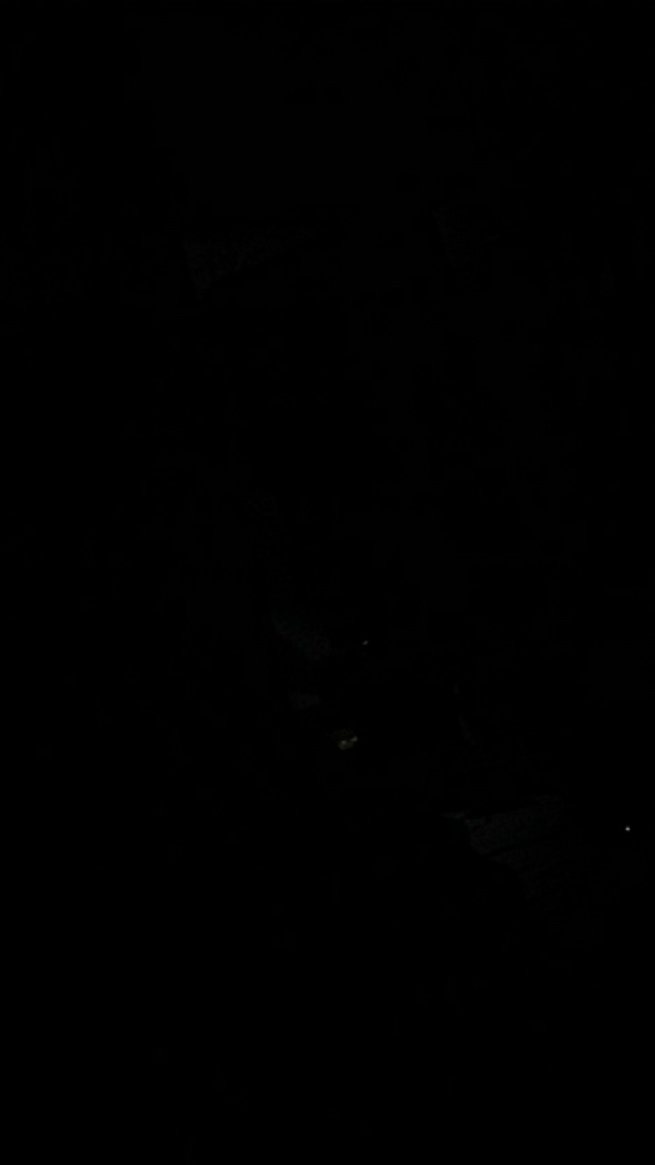 Atasan Tunik Atasan Batik Tunik Jumbo Tunik Terbaru Tunik Batik Tunik Murah Tunik Modern Cod Cod Cod