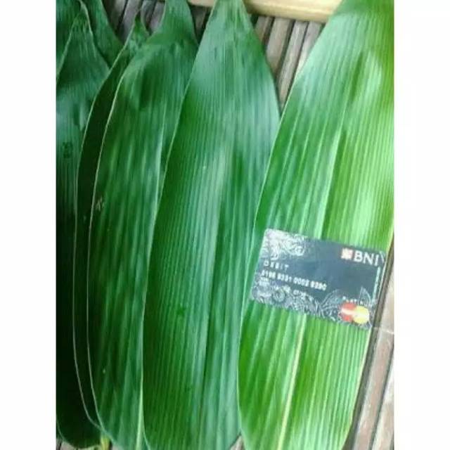 

Daun bambu segar bungkus bacang