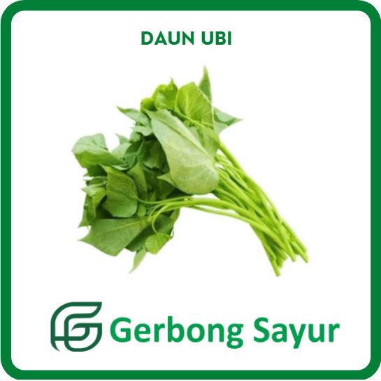 

Daun Ubi 1 Ikat - 250g