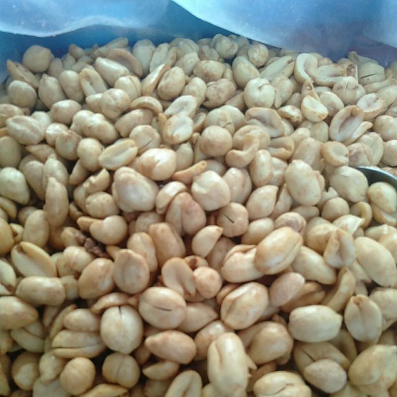 

kacangGawil per toples