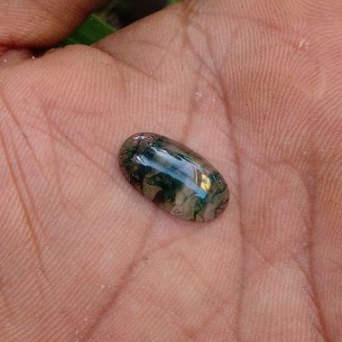 lumut suliki kristal body glass