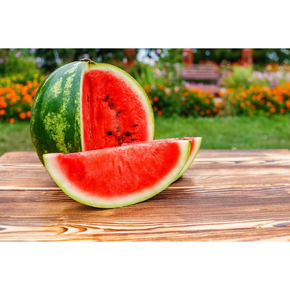 Benih Bibit Biji - Watermelon Cal Sweet Semangka Bulat Merah Seeds - IMPORT