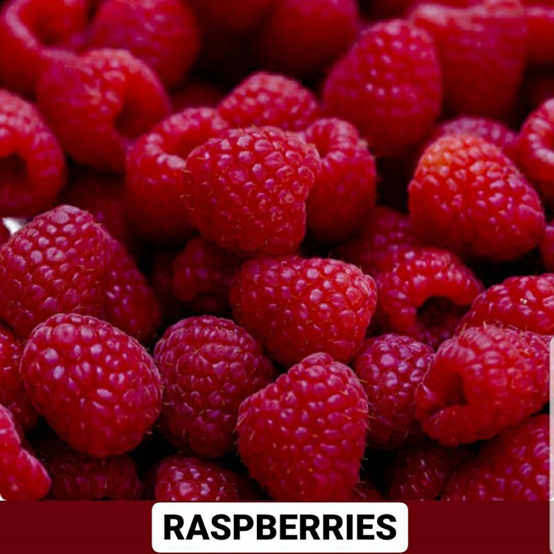 Jual raspberry segar Harga Terbaik - Makanan Segar u0026 Beku Makanan 