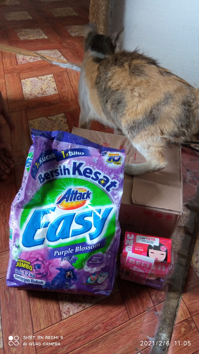 Detergen Attack Easy