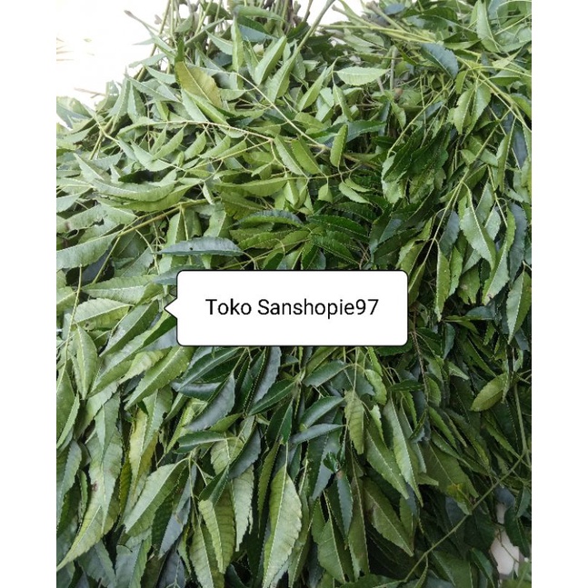 

Paket 500 gram Daun mimba segar