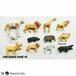 Ready Set Mainan Hewan Miniatur Wild Animal 12 Pcs Diskon Shopee Indonesia