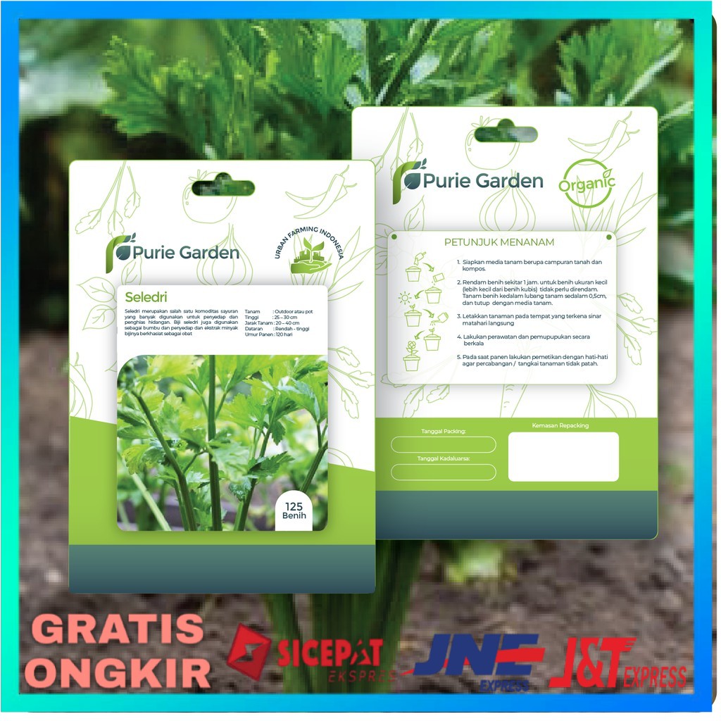 BIBIT TANAMAN HIDROPONIK SELEDRI BENIH SAYURAN HIDROPONIK BIBIT HIDROPONIK HYDROPONIC BENIH SELEDRI