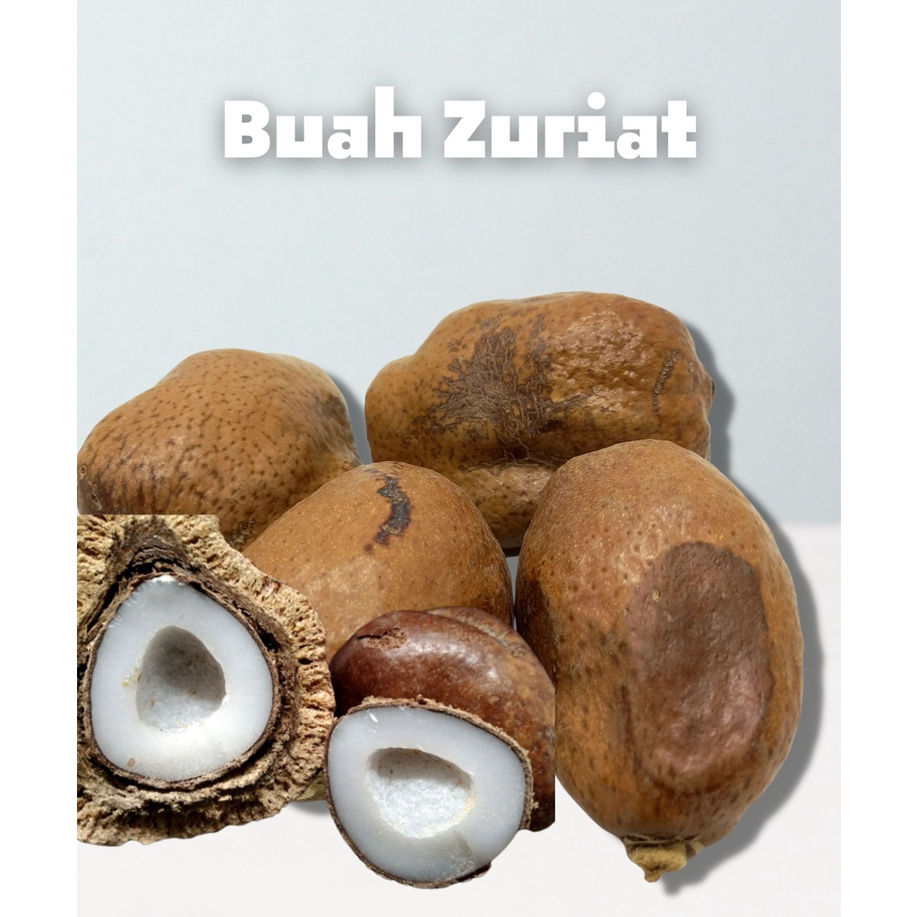 

Buah Zuriat