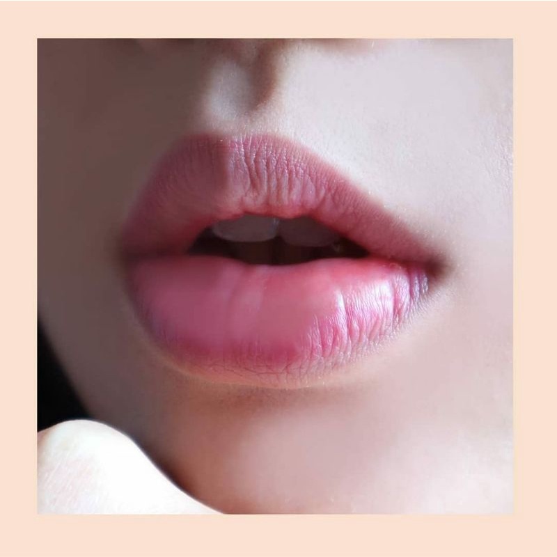 LA TULIPE Lip Moist | Latulipe