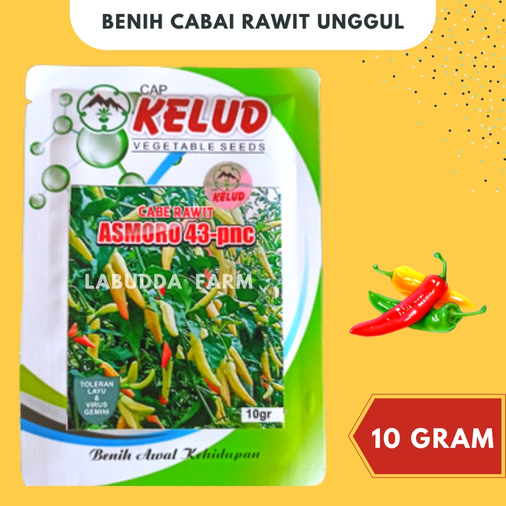 Bibit Cabe TERBUKTI Cabe SRIKANDI TAVI Tahan Virus Kuning 10gr Lokal Asmoro - Bibit Cabe Rawit Unggu