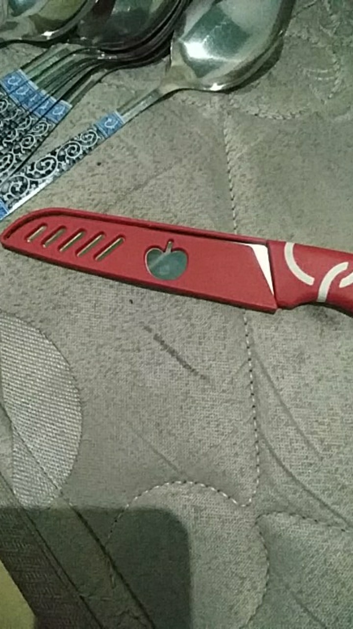 Pisau Buah Sayur Makanan Kitchen Set Stainless Steel Knife Dapur Unik / Pisau Apel