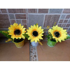 

Jual bunga matahari mini pot kaleng lukis rabbit Diskon