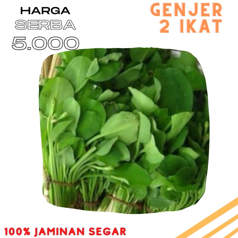 

Genjer ikat