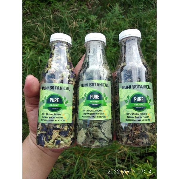 

daun teh kumis kucing kering herbal
