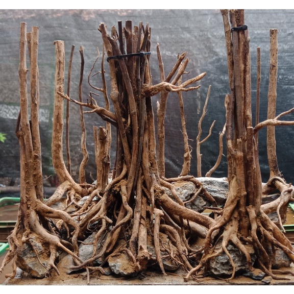 HARDSCAPE 001 30CM AQUASCAPE