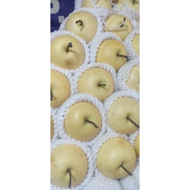 

buah pear yali