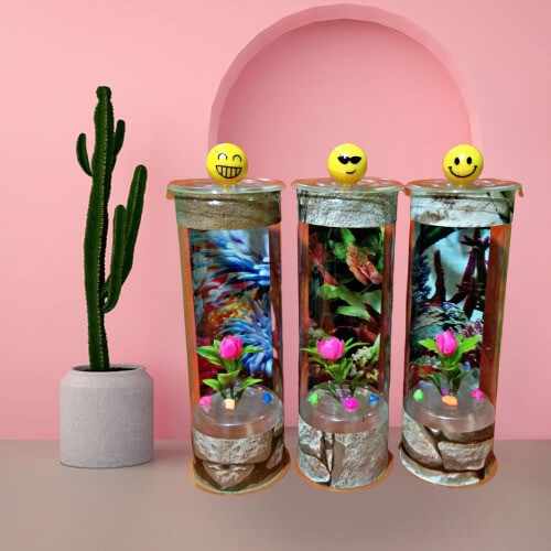 Aquarium ikan cupang Aquarium mini Aquarium Tabung Mika Aquarium ikan cupang Aquarium mini Aquarium Tabung Mika