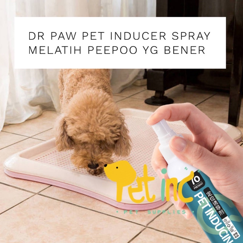 Dr paw pet inducer