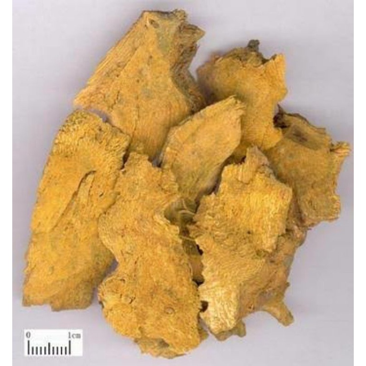 

100gr 虎杖 Hu Zhang Rhizoma Polygoni Cuspidati Japanese Knotweed Polygonum Cuspidatum