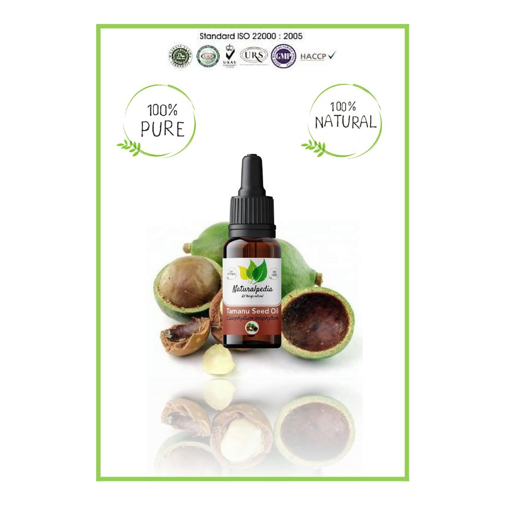 Pure Tamanu Seed Oil / Minyak Biji Tamanu Murni 10ml Carrier Oil