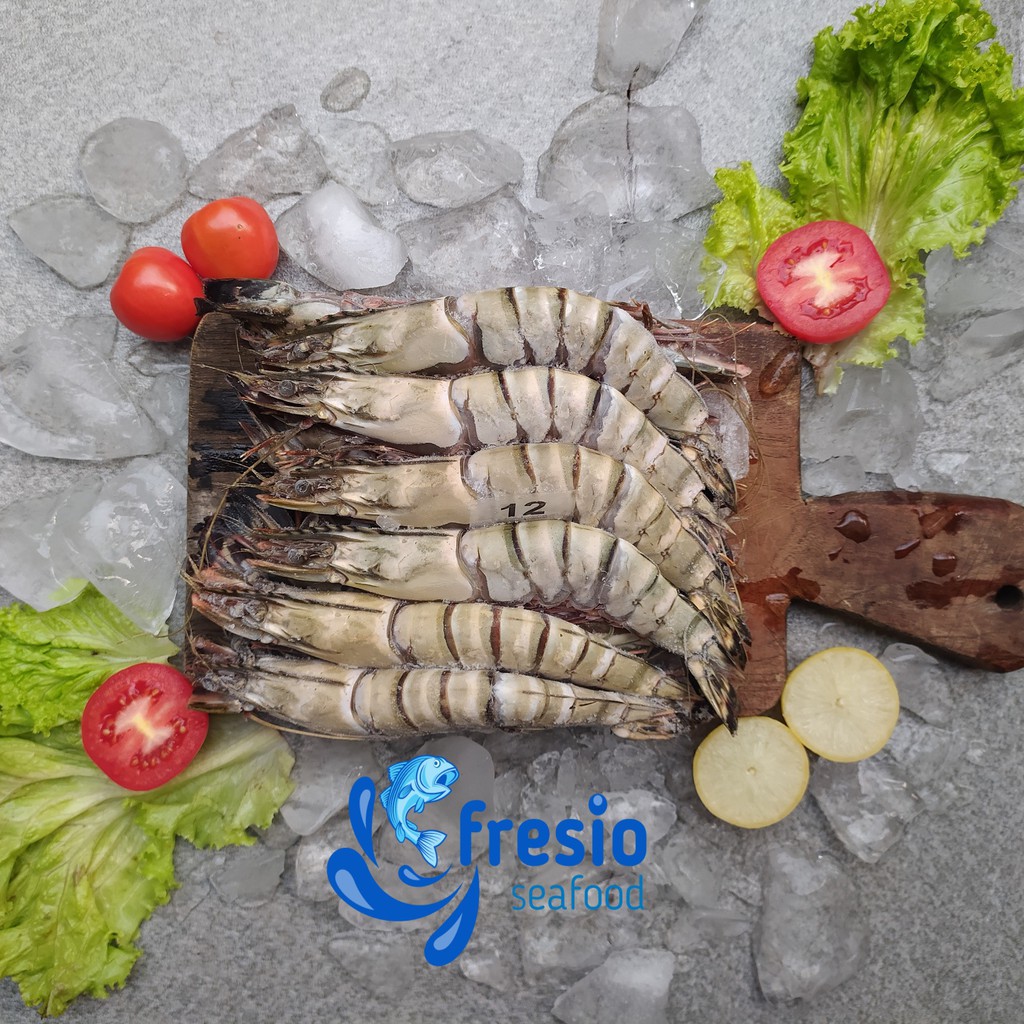 Black Tiger Shrimp / Tiger Prawn Segar / Udang Papua Segar Size Besar 12 ekor per 900-1000gr