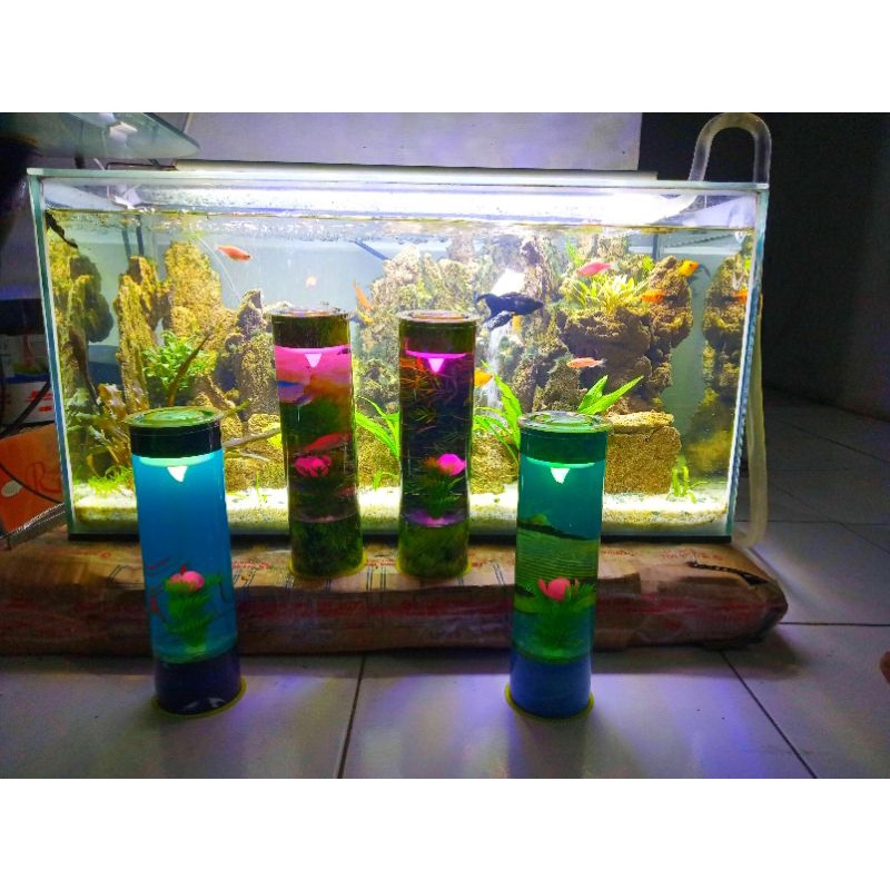 AQUARIUM MINI TABUNG IKAN CUPANG GUPPY HIASAN LAMPU KAMAR TIDUR MURAH✓
