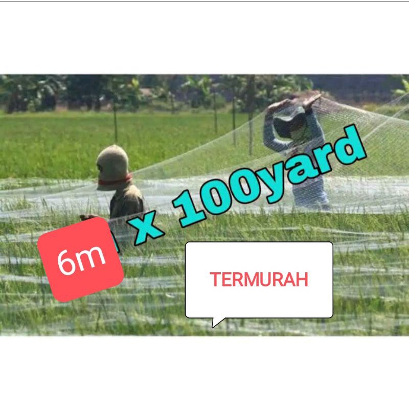 Jaring Burung Pengaman Pelindung Padi Di Sawah Lebar 6mx100yds