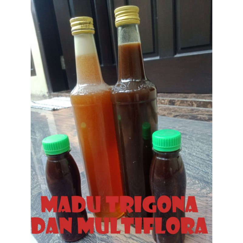 

Madu klanceng