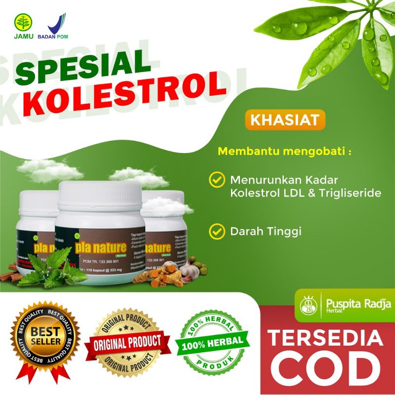 ( BISA COD ) PLA NATURE SPESIAL ATASI KOLESTEROL DAN LEMAK JAHAT Puspita Radja Herbal