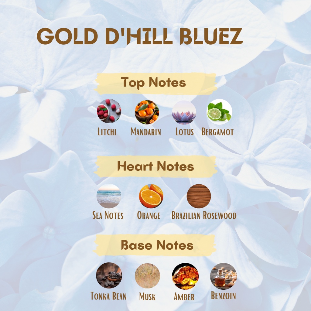 BARRISTAMA Gold D'hill Bluez Parfume - Inspired by Dunhil Blue - BPOM